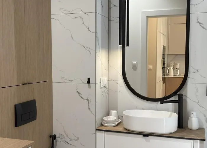 Omega New 奥尔什丁